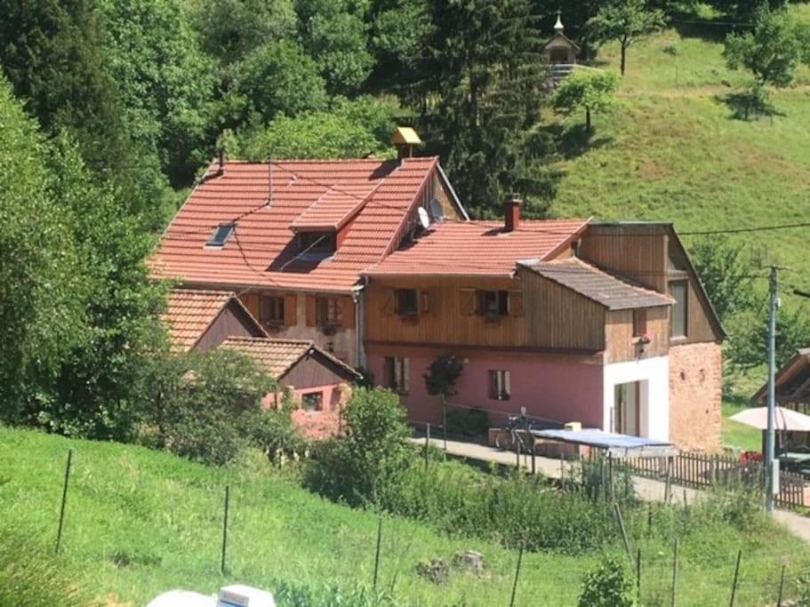 Gite De La Grande Verrerie 6 Personnes Ribeauville Luaran gambar