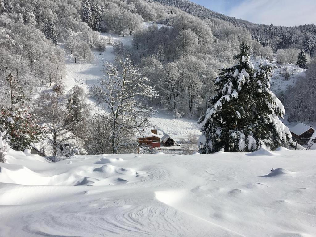 Gite De La Grande Verrerie 6 Personnes Ribeauville Luaran gambar